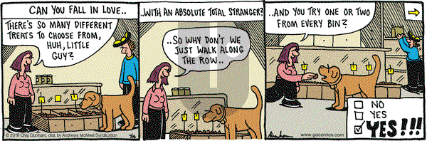 Overboard on Thursday July 4, 2019 Comic Strip