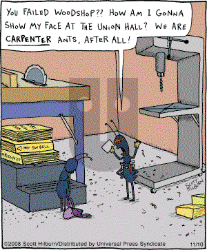 The Argyle Sweater - Monday November 10, 2008 Comic Strip