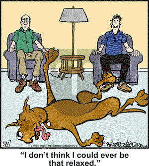 Marmaduke on Friday March 21, 2025 Comic Strip