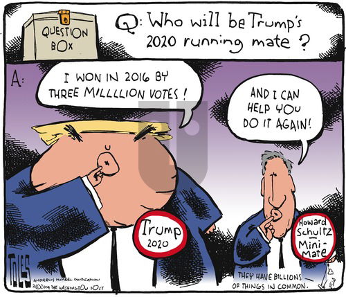 Tom Toles on Sunday February 3, 2019 Comic Strip