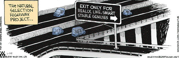 Non Sequitur on Monday January 29, 2018 Comic Strip