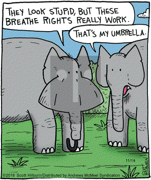 The Argyle Sweater on Wednesday November 14, 2018 Comic Strip