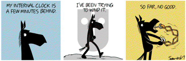 Dark Side of the Horse - Monday December 12, 2016 Comic Strip