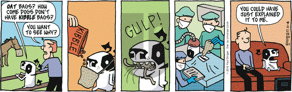 Pooch Cafe on Friday November 4, 2016 Comic Strip