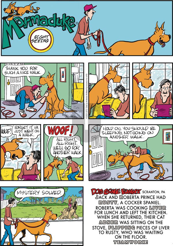 Marmaduke on Sunday June 6, 2021 Comic Strip