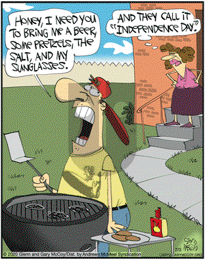 The Flying McCoys on Friday July 3, 2020 Comic Strip