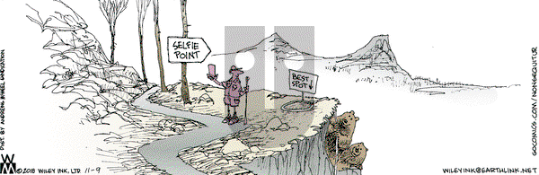 Non Sequitur on Friday November 9, 2018 Comic Strip