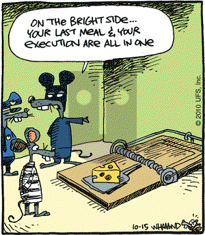 Reality Check on Friday October 15, 2010 Comic Strip