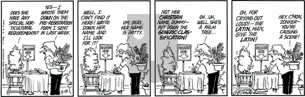 Doonesbury on Tuesday May 13, 1975 Comic Strip