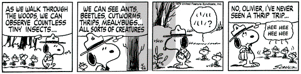 Peanuts on Thursday April 26, 1979 Comic Strip