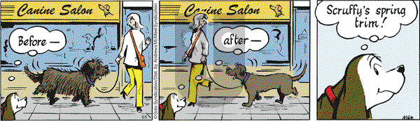 Fred Basset on Thursday June 8, 2017 Comic Strip