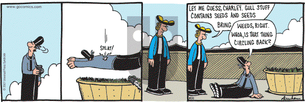 Overboard - Monday June 11, 2007 Comic Strip