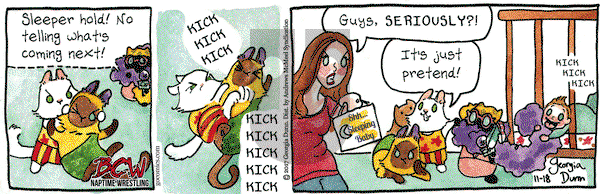 Breaking Cat News on Saturday November 18, 2017 Comic Strip