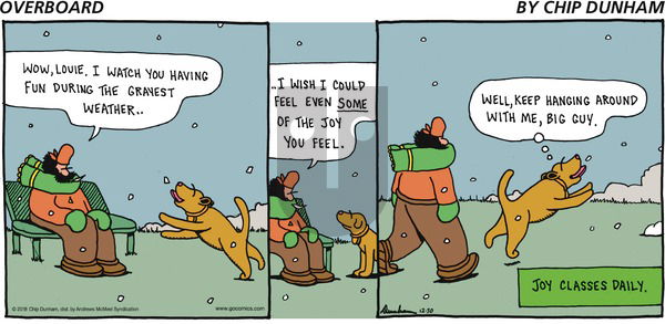 Overboard on Sunday December 30, 2018 Comic Strip