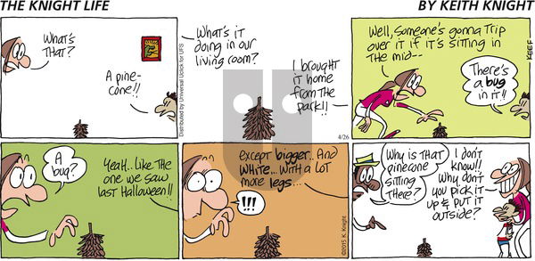 The Knight Life on Sunday April 26, 2015 Comic Strip