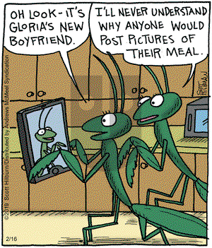 The Argyle Sweater on Saturday February 16, 2019 Comic Strip