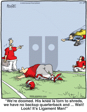 In the Bleachers - Thursday December 29, 2005 Comic Strip