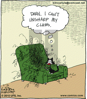 Kit 'N' Carlyle on Tuesday November 16, 2010 Comic Strip