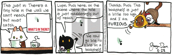 Breaking Cat News on Monday August 28, 2017 Comic Strip