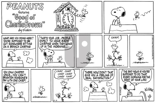 Peanuts on Sunday May 6, 1979 Comic Strip