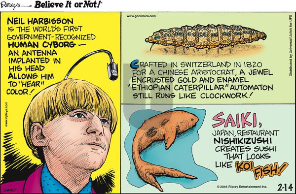 Ripley's Believe It or Not on Sunday February 14, 2016 Comic Strip