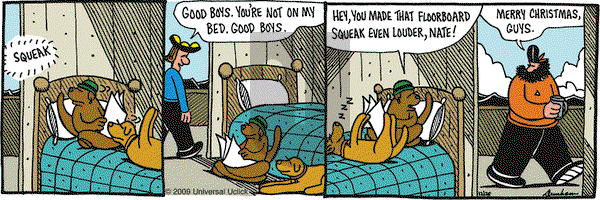 Overboard on Saturday December 26, 2009 Comic Strip