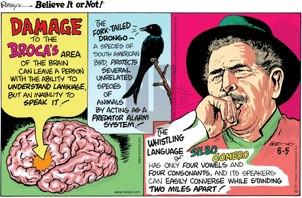 Ripley's Believe It or Not on Sunday June 5, 2011 Comic Strip