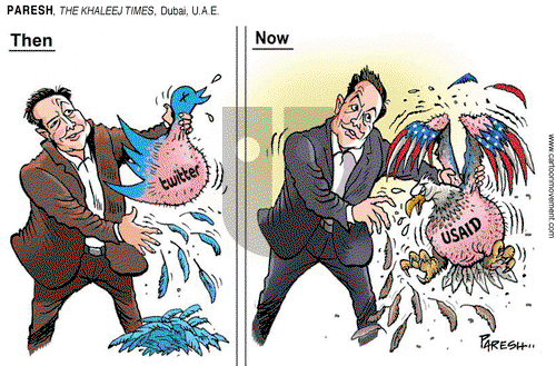 ViewsBusiness on Tuesday February 18, 2025 Comic Strip