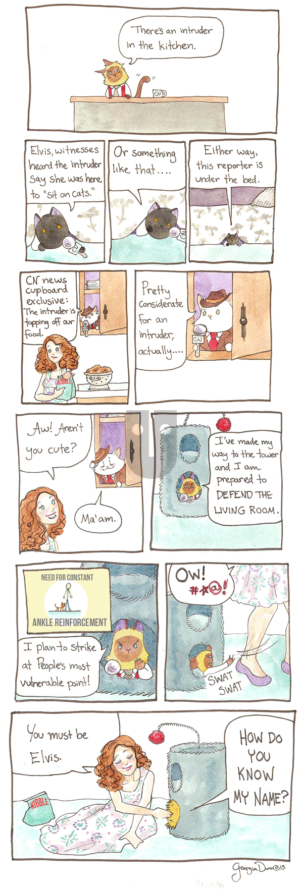 Breaking Cat News on Thursday October 29, 2015 Comic Strip
