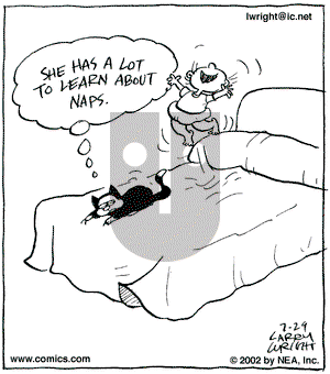 Kit 'N' Carlyle on Monday July 29, 2002 Comic Strip
