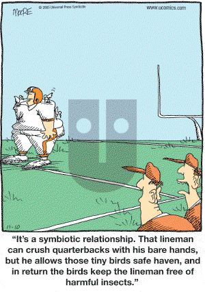 In the Bleachers - Thursday November 10, 2005 Comic Strip