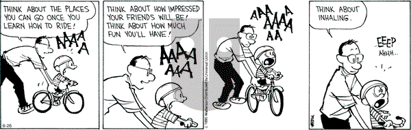 Calvin and Hobbes on Friday June 26, 2015 Comic Strip