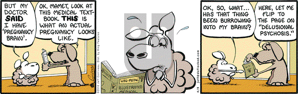 DeFlocked on Friday April 9, 2010 Comic Strip