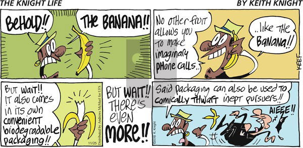 The Knight Life on Sunday November 25, 2018 Comic Strip