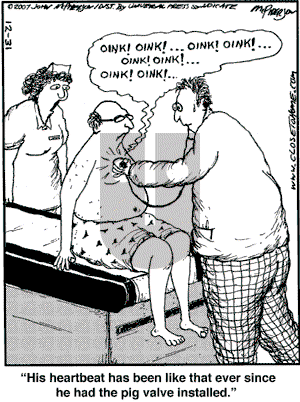 Close to Home on Monday December 31, 2007 Comic Strip