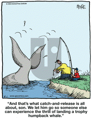 In the Bleachers on Tuesday April 1, 2008 Comic Strip