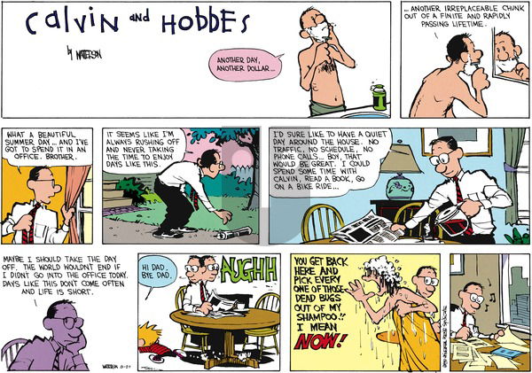 Calvin and Hobbes on Sunday August 24, 2014 Comic Strip