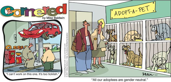 Cornered on Sunday April 2, 2017 Comic Strip