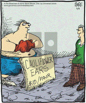 In the Bleachers on Tuesday November 4, 2014 Comic Strip