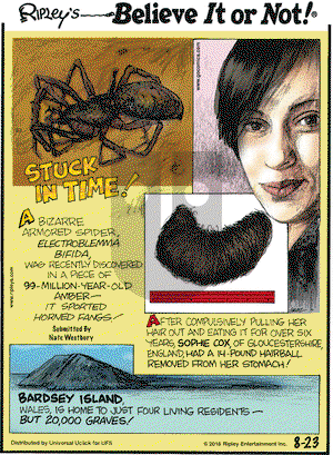Ripley's Believe It or Not on Tuesday August 23, 2016 Comic Strip