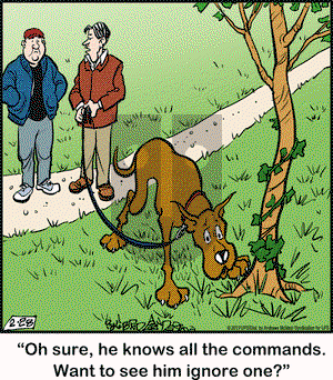 Marmaduke on Thursday February 28, 2019 Comic Strip