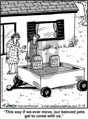 Close to Home - Saturday November 13, 2004 Comic Strip