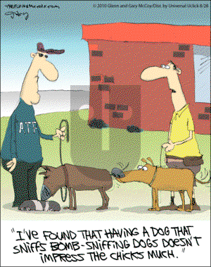 The Flying McCoys on Saturday August 28, 2010 Comic Strip