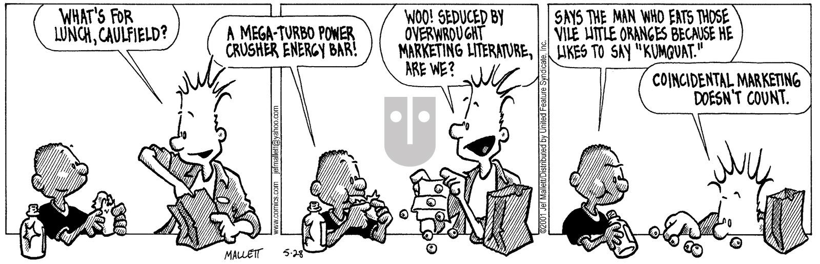 Frazz - Monday May 28, 2001 Comic Strip