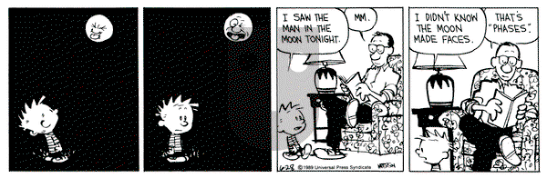 Calvin and Hobbes on Wednesday June 28, 1989 Comic Strip
