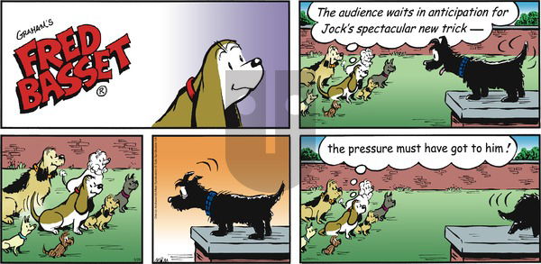 Fred Basset on Sunday May 28, 2017 Comic Strip