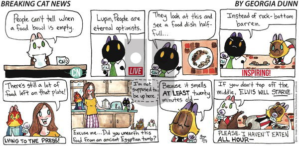 Breaking Cat News - Sunday November 7, 2021 Comic Strip