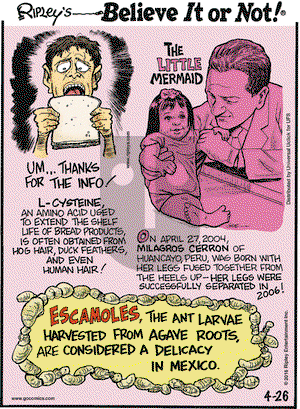 Ripley's Believe It or Not on Tuesday April 26, 2016 Comic Strip