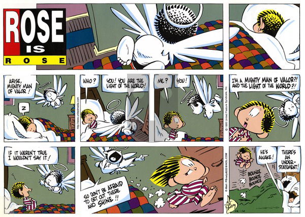 Rose is Rose on Sunday December 10, 1995 Comic Strip