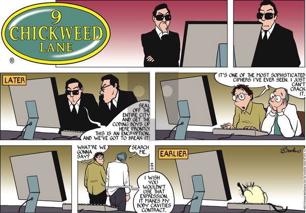 9 Chickweed Lane on Sunday November 24, 2013 Comic Strip